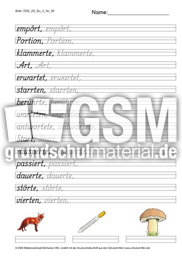 DSS_2S_Bu_rt_Nr_08.pdf